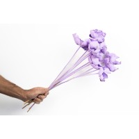 Palm cup flower séché│vente aux pros│Grossiste en fleurs séchées