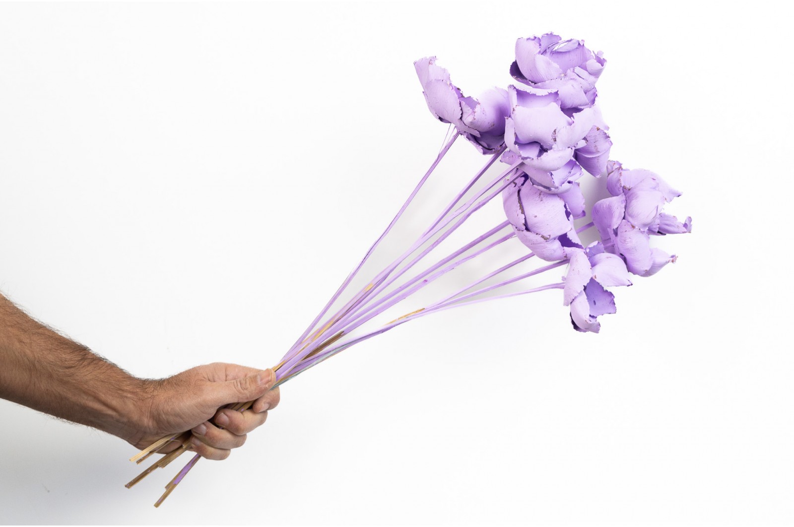 Palm cup flower séché│vente aux pros│Grossiste en fleurs séchées