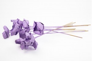Palm cup flower séché│vente aux pros│Grossiste en fleurs séchées