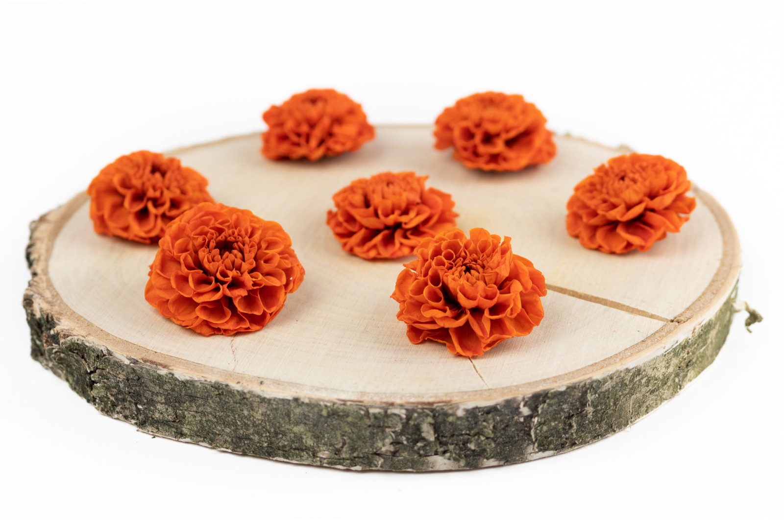 PHOCEALYS│Dahlia stabilisé│vente aux pros│Grossiste