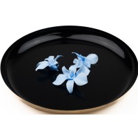 Orchidée dendrobium │vente aux pros│Grossiste en végétaux stabilisées