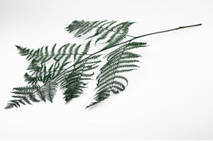 PHOCEALYS│Fougère brake stabilisée│vente aux pros│Grossiste