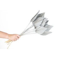 PHOCEALYS │palm spear│vente aux pros│Grossiste en fleurs séchées