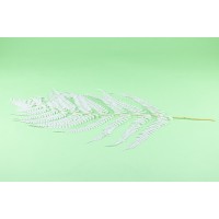 Fougère cannelle stabilisée│vente aux pros│Grossiste