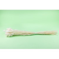 PHOCEALYS │Phalaris sec │vente aux pros│Grossiste en fleurs séchées