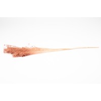 PHOCEALYS │Broom stabilisé│vente aux pros│Grossiste