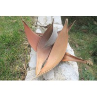 Coco media naturel vente en vrac Phocealys grossiste fournisseur pros