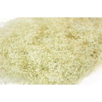 PHOCEALYS │Gypsophile stabilisé│vente aux pros│Grossiste