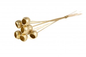 Bell cup sur tige │vente aux pros│Grossiste en fleurs séchées