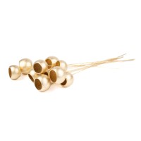 Bell cup sur tige │vente aux pros│Grossiste en fleurs séchées