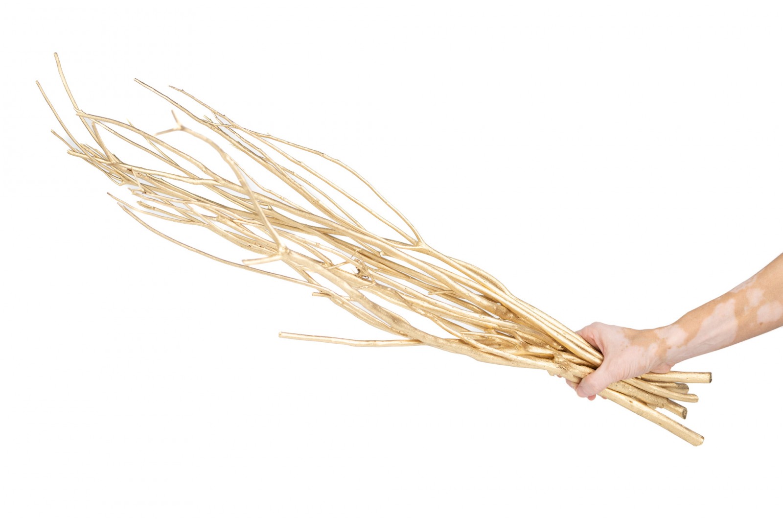 Branches de mitsumata │vente aux pros│Grossiste en fleurs séchées