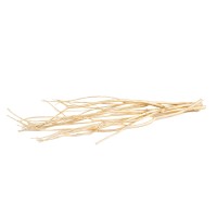 Branches de mitsumata │vente aux pros│Grossiste en fleurs séchées