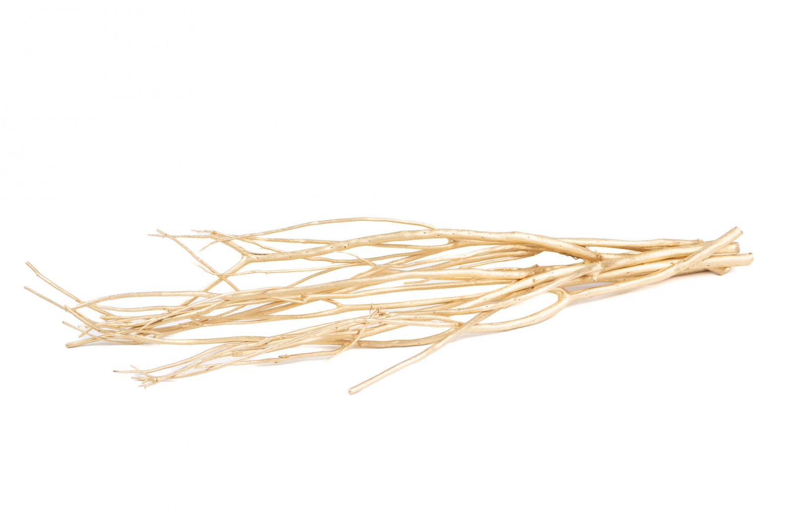 Branches de mitsumata │vente aux pros│Grossiste en fleurs séchées