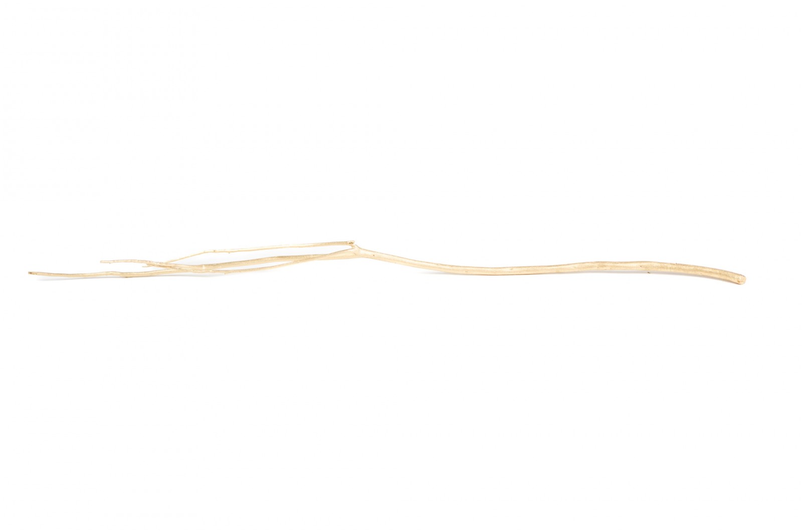 Branches de mitsumata │vente aux pros│Grossiste en fleurs séchées