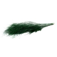 PHOCEALYS│Tree fern stabilisé│vente aux pros│Grossiste