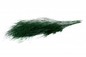 PHOCEALYS│Tree fern stabilisé│vente aux pros│Grossiste