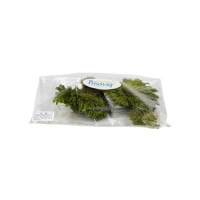PHOCEALYS│Club moss stabilisé│vente aux pros│Grossiste