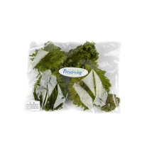 PHOCEALYS│Club moss stabilisé│vente aux pros│Grossiste