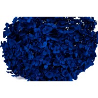Hortensia Anna stabilisé│vente aux pros│Grossiste en végétaux stabilisées