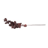 PHOCEALYS │Eucalyptus silver drop│vente aux pros│Grossiste