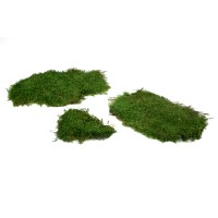PHOCEALYS│Mousse plate stabilisée│vente aux pros│Grossiste