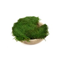 PHOCEALYS│Mousse plate stabilisée│vente aux pros│Grossiste