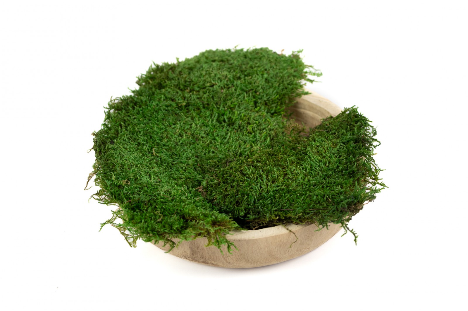 PHOCEALYS│Mousse plate stabilisée│vente aux pros│Grossiste