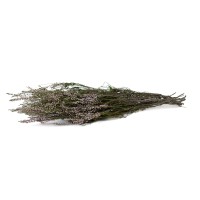Bruyère stabilisée│vente aux pros│Grossiste en végétaux stabilisées