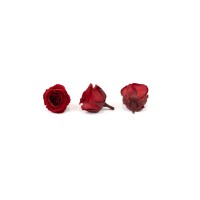 PHOCEALYS │Têtes de roses stabilisées  │vente aux pros│Grossiste