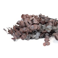 Eucalyptus cinerea stabilisé │vente aux pros│Grossiste
