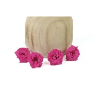 Rose sauvage stabilisée│vente aux pros│Grossiste en végétaux stabilisées