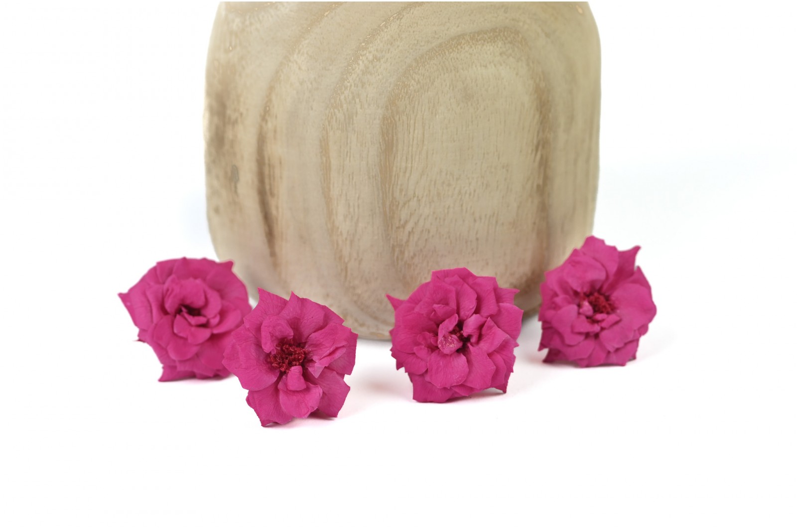 Rose sauvage stabilisée│vente aux pros│Grossiste en végétaux stabilisées