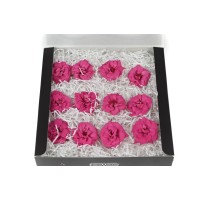 Rose sauvage stabilisée│vente aux pros│Grossiste en végétaux stabilisées
