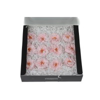 Rose sauvage stabilisée│vente aux pros│Grossiste en végétaux stabilisées