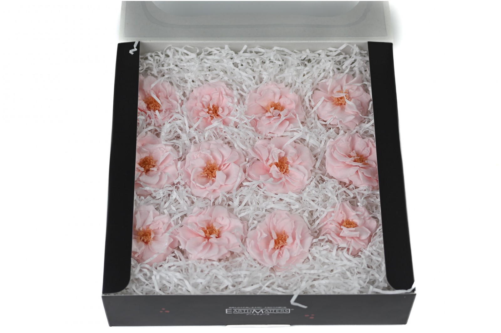 Rose sauvage stabilisée│vente aux pros│Grossiste en végétaux stabilisées