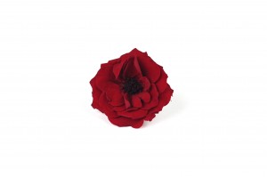Rose sauvage stabilisée│vente aux pros│Grossiste en végétaux stabilisées