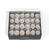 Rose Vivian stabilisée│vente aux pros│Grossiste en végétaux stabilisées