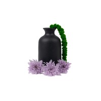 Chrysanthème japonais  stabilisé│vente aux pros│Grossiste