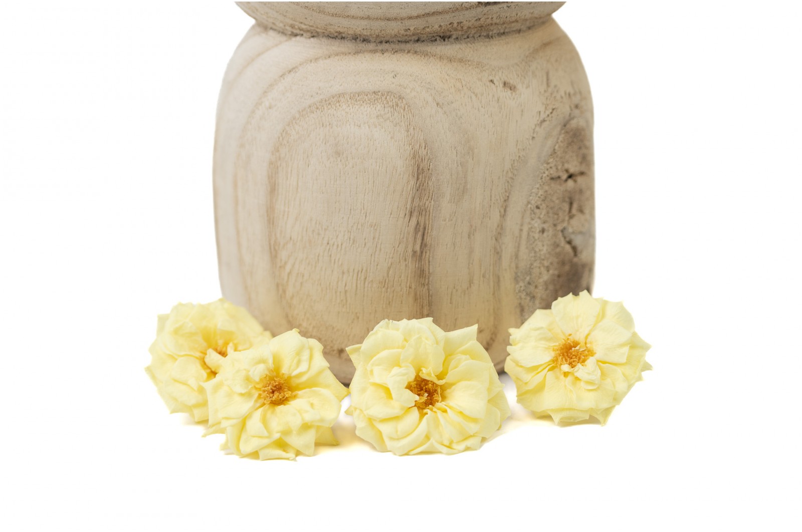 Rose sauvage stabilisée│vente aux pros│Grossiste en végétaux stabilisées