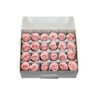 Rose Vivian stabilisée│vente aux pros│Grossiste en végétaux stabilisées
