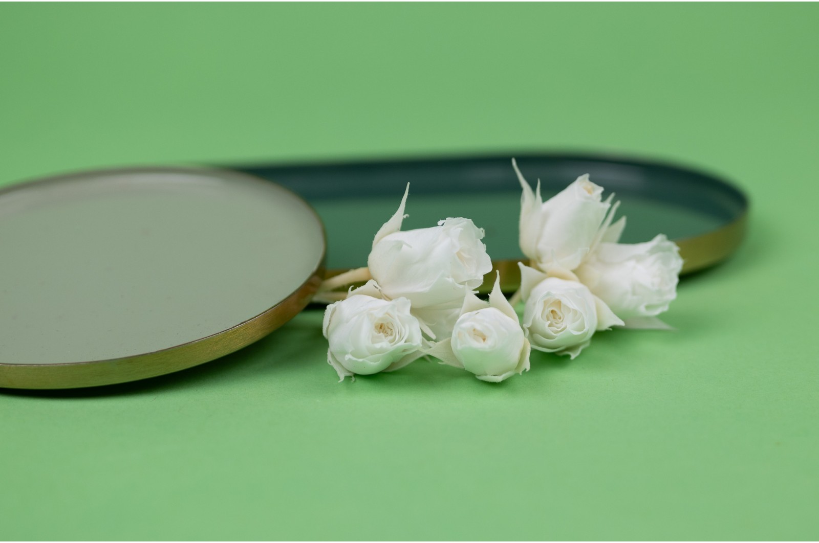 Bouton de rose stabilisé│vente aux pros│Grossiste en végétaux stabilisées