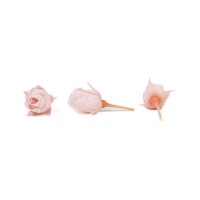 Bouton de rose stabilisé│vente aux pros│Grossiste en végétaux stabilisées