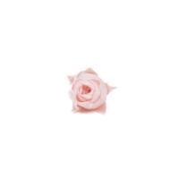Bouton de rose stabilisé│vente aux pros│Grossiste en végétaux stabilisées