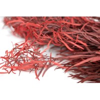 PHOCEALYS│Eucalyptus nicoly stabilisé │vente aux pros│Grossiste