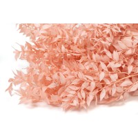 Ruscus stabilisé│vente aux pros│Grossiste en végétaux stabilisées