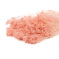 Broom sec blanc / crème vente en vrac Phocealys grossiste fournisseur pros