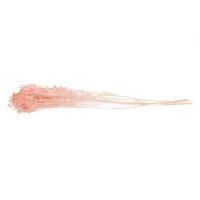Broom sec blanc / crème vente en vrac Phocealys grossiste fournisseur pros
