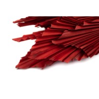 PHOCEALYS │palm spear mini│vente aux pros│Grossiste en fleurs séchées