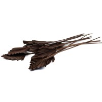 PHOCEALYS │palm spear mini│vente aux pros│Grossiste en fleurs séchées