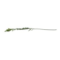 PHOCEALYS│Solidago stabilisé│vente aux pros│Grossiste